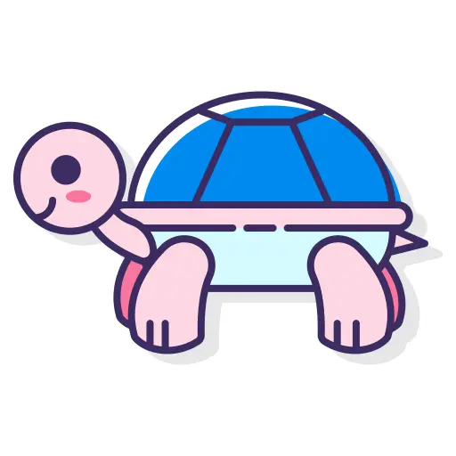 Tortoise