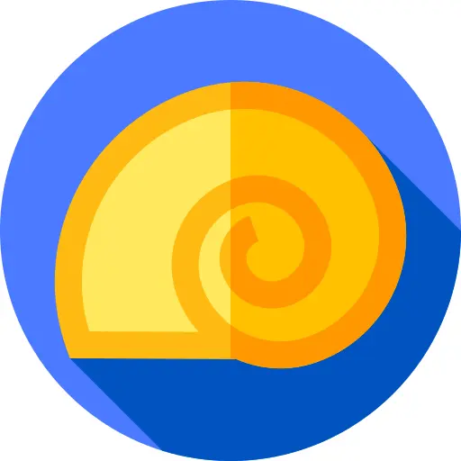 Seashell