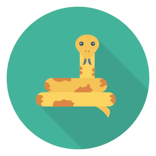Snake