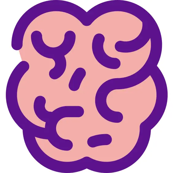 Brain