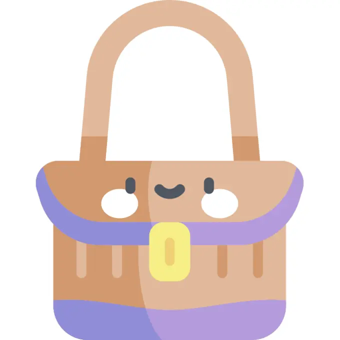 Handbag