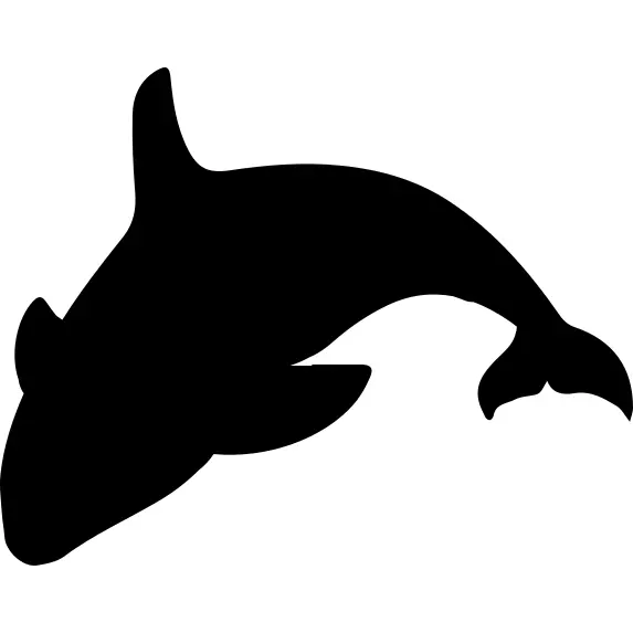 Orca silhouette