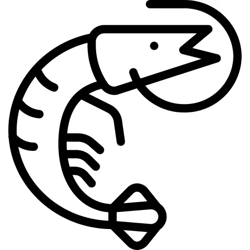 Shrimp