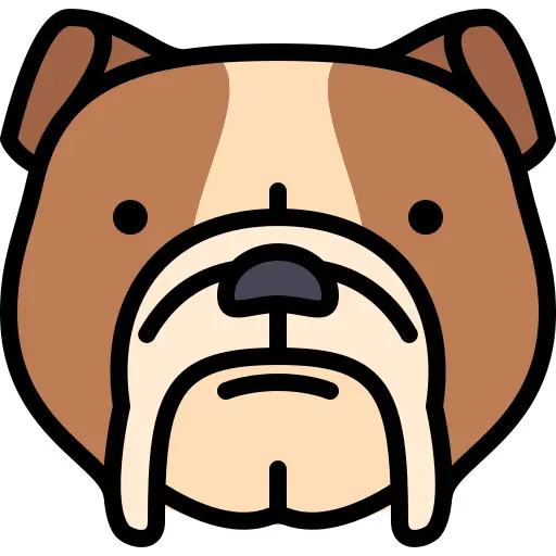 Bulldog