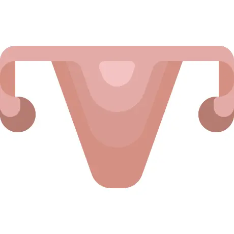 Uterus