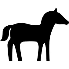 Horse Facing Right