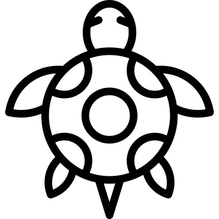 Tortoise