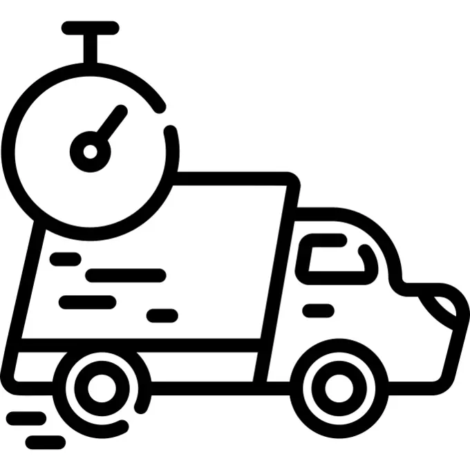 Fast delivery