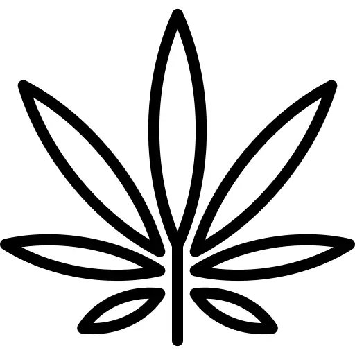 Cannabis
