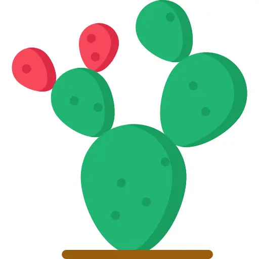 Prickly pear