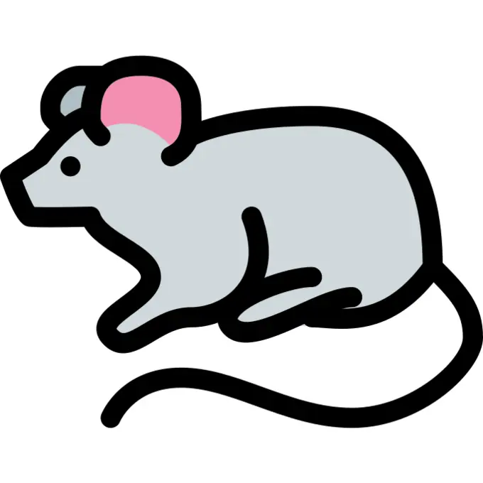 Mouse