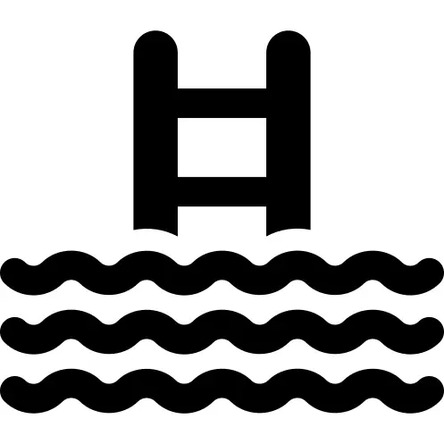 Swimming pool ladder