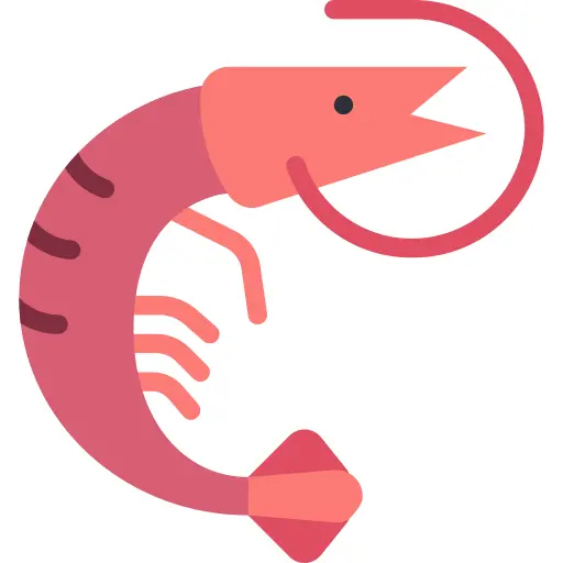 Shrimp
