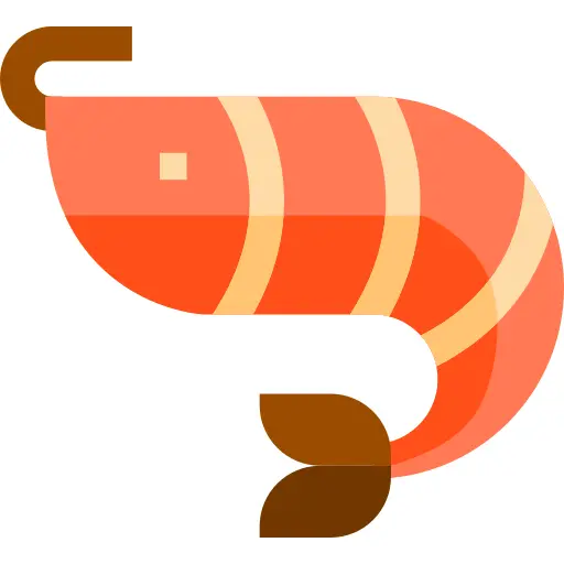 Shrimp
