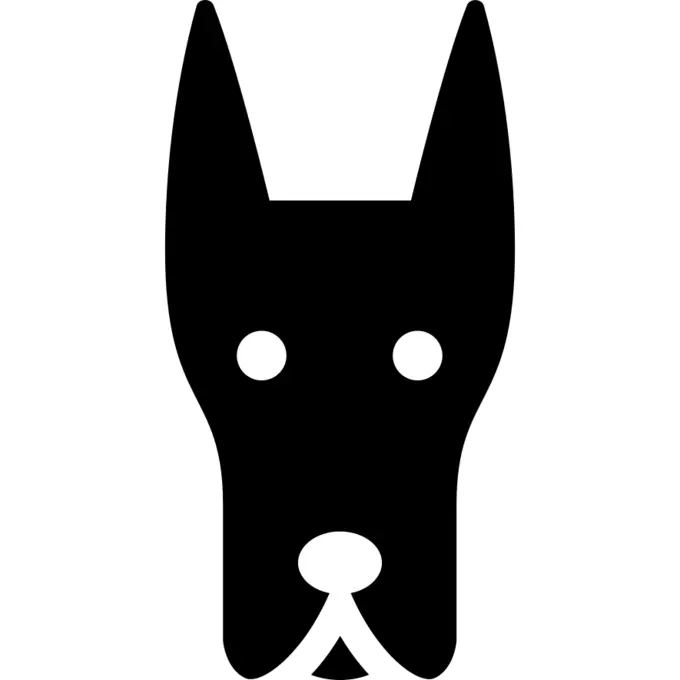 Doberman dog head