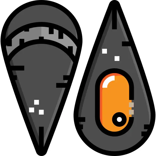 Mussel
