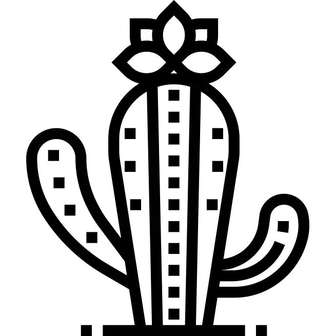 Cactus