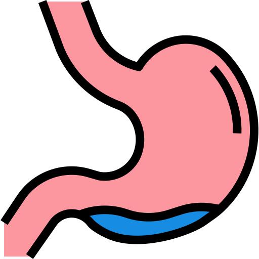 Stomach