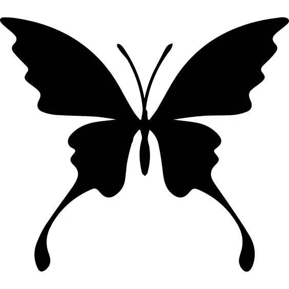 Butterfly silhouette