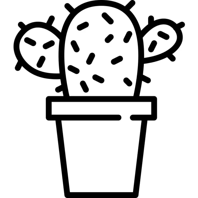 Cactus