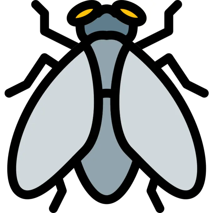 Fly