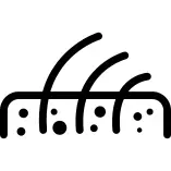 Skin layers with hair follicles