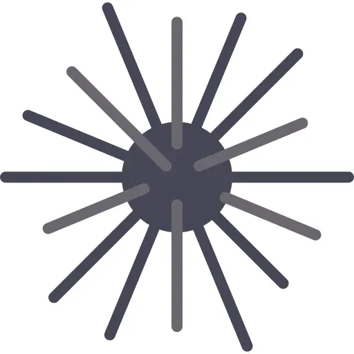 Sea urchin