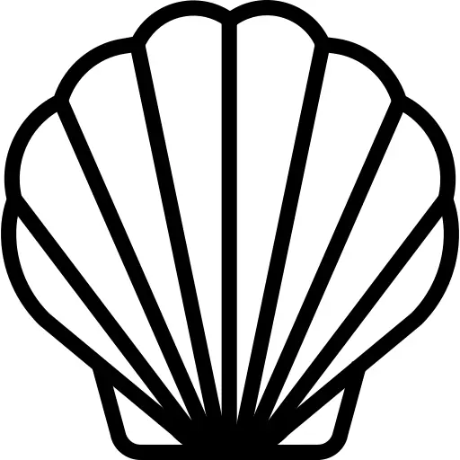 Seashell