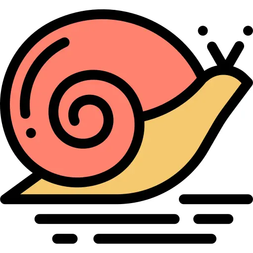 Snail