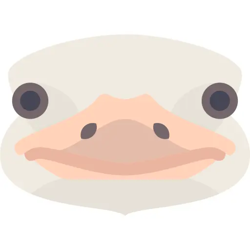 Ostrich