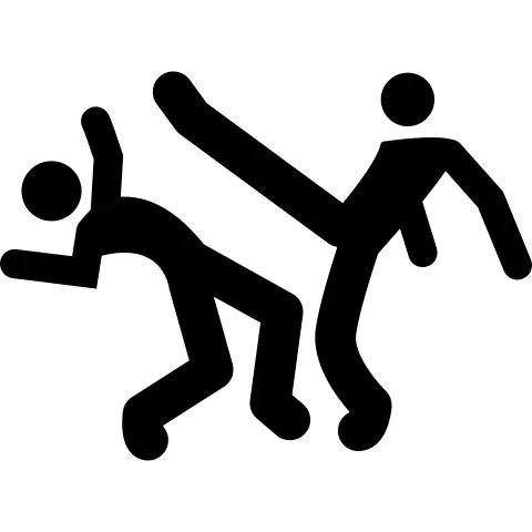 Capoeira Brazil dancers silhouette