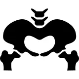 Pelvic bone silhouette