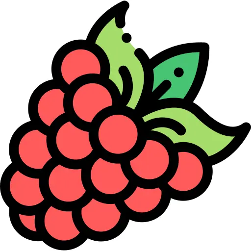 Raspberry