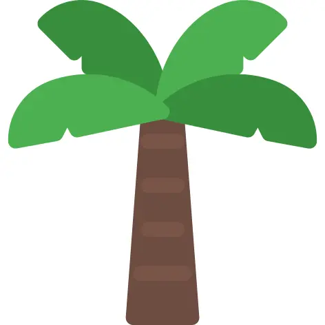 Palm tree