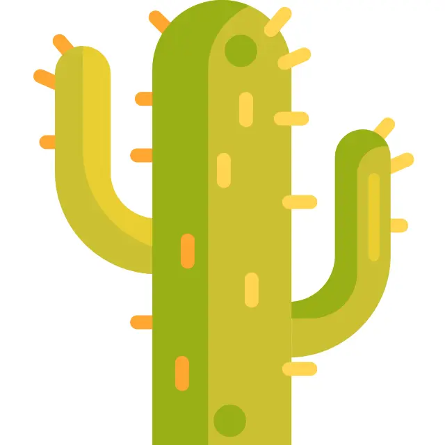 Cactus