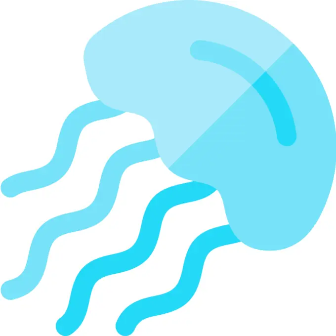 Jellyfish