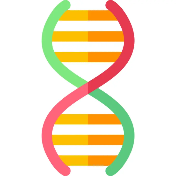 Gene