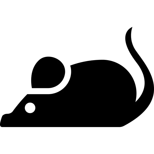Laboratory Mouse