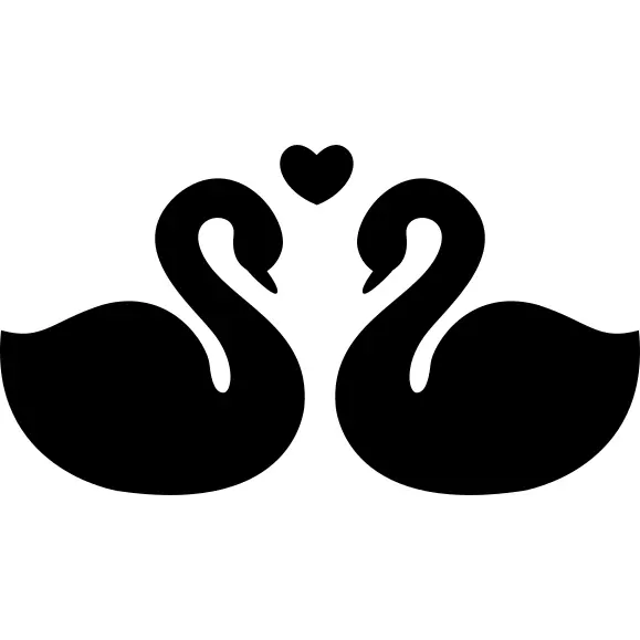 Swans couple fidelity symbol of love