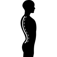 Column inside a male human body silhouette in side view