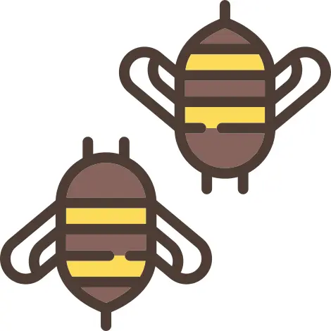 Bees