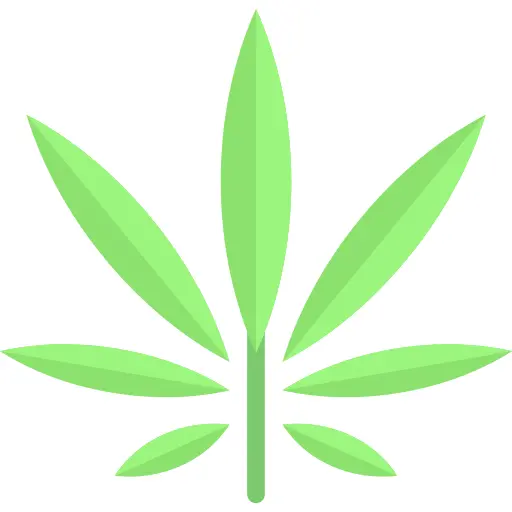 Cannabis