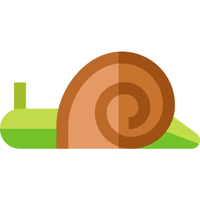 Snail