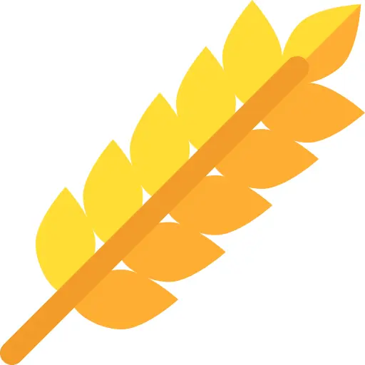 Wheat