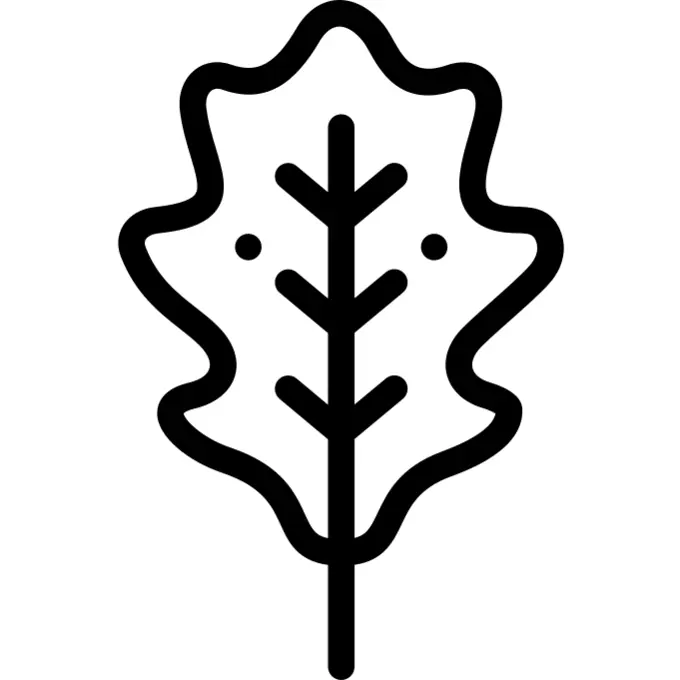 Oak leaf