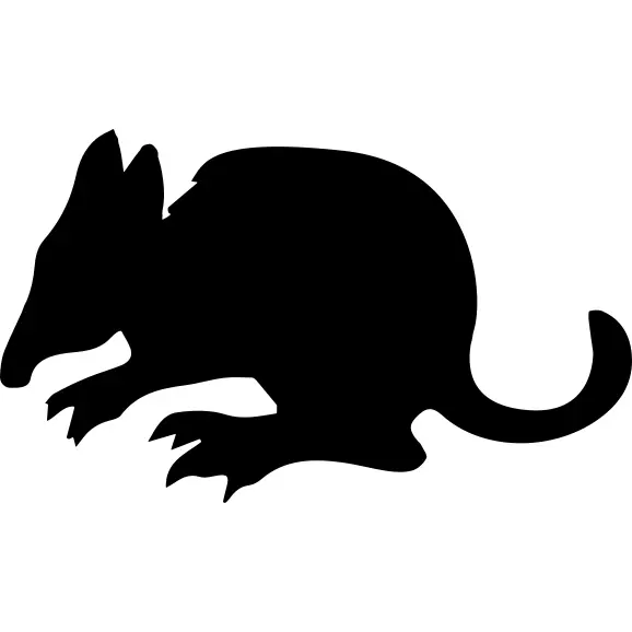 Bandicoot mammal silhouette side view