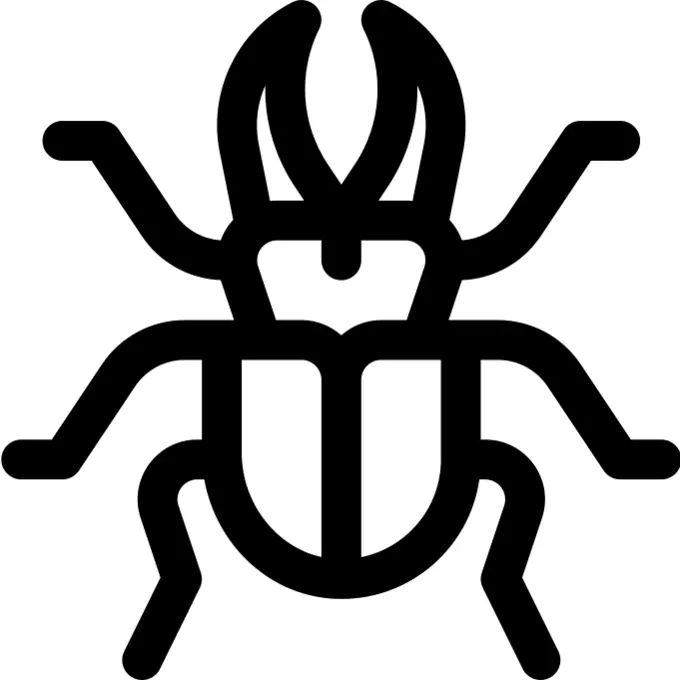Beetle