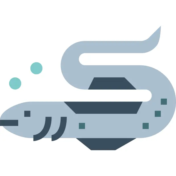 Eel