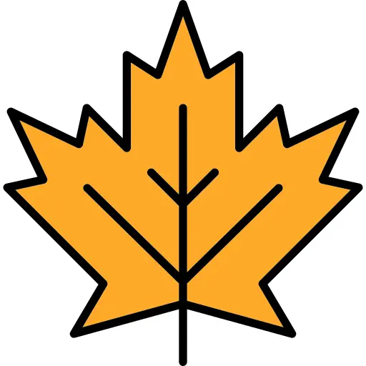 Maple leaf