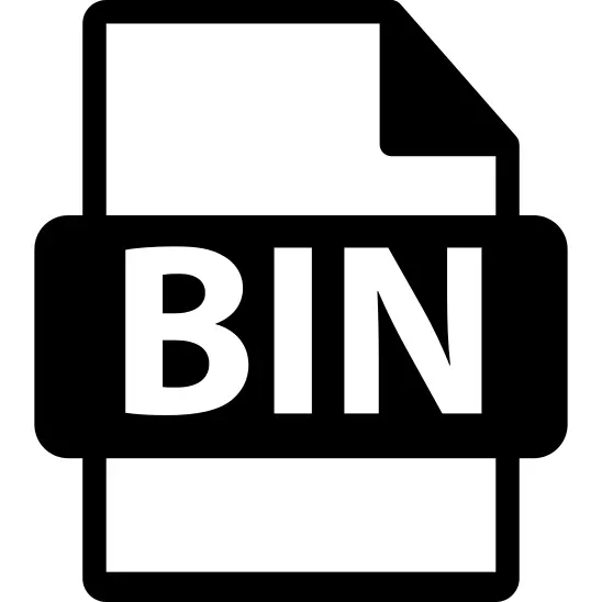 BIN file format